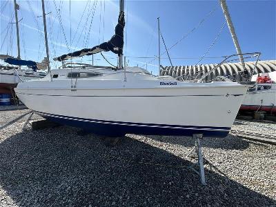 Jeanneau  Sun Odyssey 24.2 