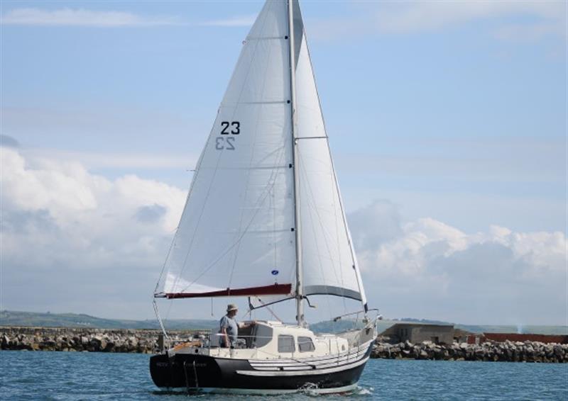 Fisher  Freeward 25 